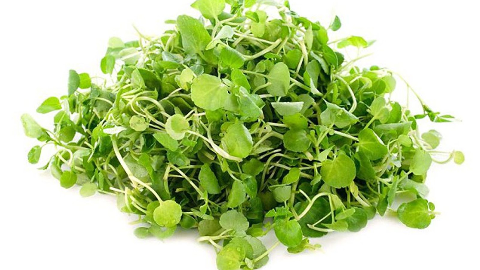 Watercress vs Spinach – Health Benefits